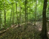 1131 Sisson Terrace, Charleston, West Virginia 25320, 0 , 0 ,0,Lots/land,For Sale,Sisson,0,10166171 1131 Sisson Terrace, Charleston, West Virginia 25320, 0 , 0 ,0,Lots/land,For Sale,Sisson,0,10166171