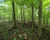 1131 Sisson Terrace, Charleston, West Virginia 25320, 0 , 0 ,0,Lots/land,For Sale,Sisson,0,10166171 1131 Sisson Terrace, Charleston, West Virginia 25320, 0 , 0 ,0,Lots/land,For Sale,Sisson,0,10166171