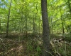 1131 Sisson Terrace, Charleston, West Virginia 25320, 0 , 0 ,0,Lots/land,For Sale,Sisson,0,10166171 1131 Sisson Terrace, Charleston, West Virginia 25320, 0 , 0 ,0,Lots/land,For Sale,Sisson,0,10166171