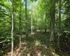 1131 Sisson Terrace, Charleston, West Virginia 25320, 0 , 0 ,0,Lots/land,For Sale,Sisson,0,10166171 1131 Sisson Terrace, Charleston, West Virginia 25320, 0 , 0 ,0,Lots/land,For Sale,Sisson,0,10166171