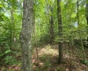 1131 Sisson Terrace, Charleston, West Virginia 25320, 0 , 0 ,0,Lots/land,For Sale,Sisson,0,10166171 1131 Sisson Terrace, Charleston, West Virginia 25320, 0 , 0 ,0,Lots/land,For Sale,Sisson,0,10166171