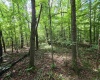 1131 Sisson Terrace, Charleston, West Virginia 25320, 0 , 0 ,0,Lots/land,For Sale,Sisson,0,10166171 1131 Sisson Terrace, Charleston, West Virginia 25320, 0 , 0 ,0,Lots/land,For Sale,Sisson,0,10166171