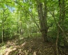 1131 Sisson Terrace, Charleston, West Virginia 25320, 0 , 0 ,0,Lots/land,For Sale,Sisson,0,10166171 1131 Sisson Terrace, Charleston, West Virginia 25320, 0 , 0 ,0,Lots/land,For Sale,Sisson,0,10166171
