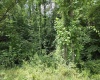 1131 Sisson Terrace, Charleston, West Virginia 25320, 0 , 0 ,0,Lots/land,For Sale,Sisson,0,10166171 1131 Sisson Terrace, Charleston, West Virginia 25320, 0 , 0 ,0,Lots/land,For Sale,Sisson,0,10166171