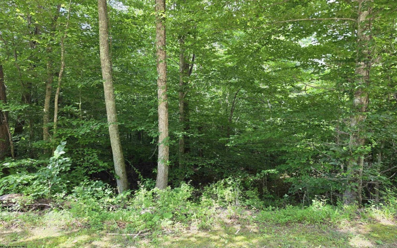 1131 Sisson Terrace, Charleston, West Virginia 25320, 0 , 0 ,0,Lots/land,For Sale,Sisson,0,10166171 1131 Sisson Terrace, Charleston, West Virginia 25320, 0 , 0 ,0,Lots/land,For Sale,Sisson,0,10166171