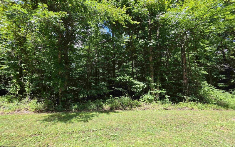 1131 Sisson Terrace, Charleston, West Virginia 25320, 0 , 0 ,0,Lots/land,For Sale,Sisson,0,10166171 1131 Sisson Terrace, Charleston, West Virginia 25320, 0 , 0 ,0,Lots/land,For Sale,Sisson,0,10166171