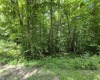 1131 Sisson Terrace, Charleston, West Virginia 25320, 0 , 0 ,0,Lots/land,For Sale,Sisson,0,10166171 1131 Sisson Terrace, Charleston, West Virginia 25320, 0 , 0 ,0,Lots/land,For Sale,Sisson,0,10166171
