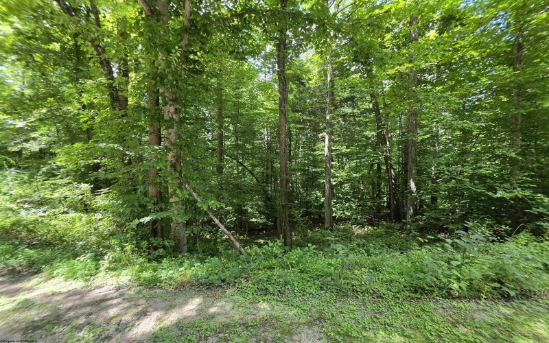 1131 Sisson Terrace, Charleston, West Virginia 25320, 0 , 0 ,0,Lots/land,For Sale,Sisson,0,10166171 1131 Sisson Terrace, Charleston, West Virginia 25320, 0 , 0 ,0,Lots/land,For Sale,Sisson,0,10166171