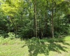 1131 Sisson Terrace, Charleston, West Virginia 25320, 0 , 0 ,0,Lots/land,For Sale,Sisson,0,10166171 1131 Sisson Terrace, Charleston, West Virginia 25320, 0 , 0 ,0,Lots/land,For Sale,Sisson,0,10166171