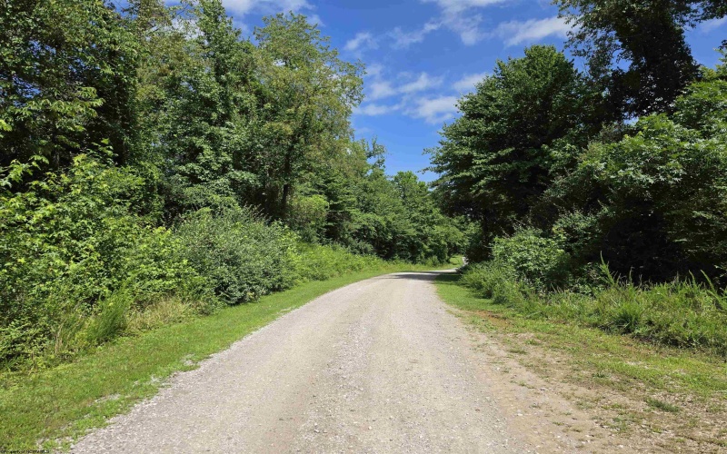 1131 Sisson Terrace, Charleston, West Virginia 25320, 0 , 0 ,0,Lots/land,For Sale,Sisson,0,10166171 1131 Sisson Terrace, Charleston, West Virginia 25320, 0 , 0 ,0,Lots/land,For Sale,Sisson,0,10166171