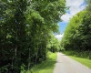 1131 Sisson Terrace, Charleston, West Virginia 25320, 0 , 0 ,0,Lots/land,For Sale,Sisson,0,10166171 1131 Sisson Terrace, Charleston, West Virginia 25320, 0 , 0 ,0,Lots/land,For Sale,Sisson,0,10166171