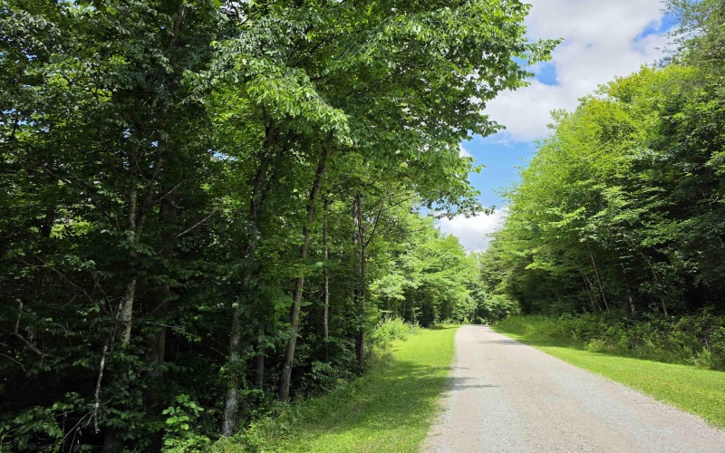 1131 Sisson Terrace, Charleston, West Virginia 25320, 0 , 0 ,0,Lots/land,For Sale,Sisson,0,10166171 1131 Sisson Terrace, Charleston, West Virginia 25320, 0 , 0 ,0,Lots/land,For Sale,Sisson,0,10166171
