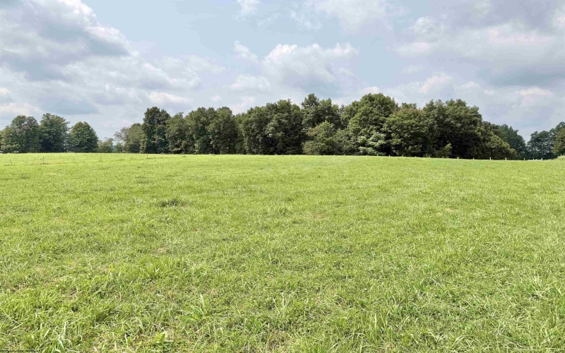 1586 Vannoys Mill Road, Belington, West Virginia 26250, 2 Bedrooms Bedrooms, 5 Rooms Rooms,2 BathroomsBathrooms,Single Family Detached,For Sale,Vannoys Mill,0,10166164 1586 Vannoys Mill Road, Belington, West Virginia 26250, 2 Bedrooms Bedrooms, 5 Rooms Rooms,2 BathroomsBathrooms,Single Family Detached,For Sale,Vannoys Mill,0,10166164