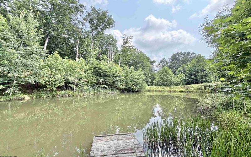 1586 Vannoys Mill Road, Belington, West Virginia 26250, 2 Bedrooms Bedrooms, 5 Rooms Rooms,2 BathroomsBathrooms,Single Family Detached,For Sale,Vannoys Mill,0,10166164 1586 Vannoys Mill Road, Belington, West Virginia 26250, 2 Bedrooms Bedrooms, 5 Rooms Rooms,2 BathroomsBathrooms,Single Family Detached,For Sale,Vannoys Mill,0,10166164