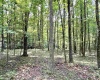1586 Vannoys Mill Road, Belington, West Virginia 26250, 2 Bedrooms Bedrooms, 5 Rooms Rooms,2 BathroomsBathrooms,Single Family Detached,For Sale,Vannoys Mill,0,10166164 1586 Vannoys Mill Road, Belington, West Virginia 26250, 2 Bedrooms Bedrooms, 5 Rooms Rooms,2 BathroomsBathrooms,Single Family Detached,For Sale,Vannoys Mill,0,10166164
