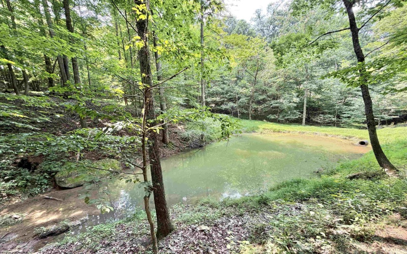 1586 Vannoys Mill Road, Belington, West Virginia 26250, 2 Bedrooms Bedrooms, 5 Rooms Rooms,2 BathroomsBathrooms,Single Family Detached,For Sale,Vannoys Mill,0,10166164 1586 Vannoys Mill Road, Belington, West Virginia 26250, 2 Bedrooms Bedrooms, 5 Rooms Rooms,2 BathroomsBathrooms,Single Family Detached,For Sale,Vannoys Mill,0,10166164