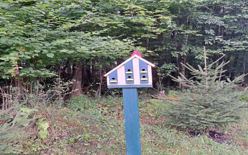 182 Hill Circle, Terra Alta, West Virginia 26764, 3 Bedrooms Bedrooms, 11 Rooms Rooms,2 BathroomsBathrooms,Single Family Detached,For Sale,Hill,0,10166162 182 Hill Circle, Terra Alta, West Virginia 26764, 3 Bedrooms Bedrooms, 11 Rooms Rooms,2 BathroomsBathrooms,Single Family Detached,For Sale,Hill,0,10166162