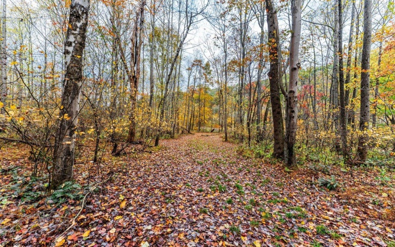 TBD Bortz Mine Road, Point Marion, Pennsylvania 15451, 0 , 0 ,0,Lots/land,For Sale,Bortz Mine,0,10162282