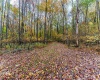TBD Bortz Mine Road, Point Marion, Pennsylvania 15451, 0 , 0 ,0,Lots/land,For Sale,Bortz Mine,0,10162282