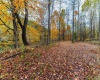 TBD Bortz Mine Road, Point Marion, Pennsylvania 15451, 0 , 0 ,0,Lots/land,For Sale,Bortz Mine,0,10162282