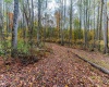 TBD Bortz Mine Road, Point Marion, Pennsylvania 15451, 0 , 0 ,0,Lots/land,For Sale,Bortz Mine,0,10162282
