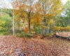 TBD Bortz Mine Road, Point Marion, Pennsylvania 15451, 0 , 0 ,0,Lots/land,For Sale,Bortz Mine,0,10162282