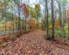 TBD Bortz Mine Road, Point Marion, Pennsylvania 15451, 0 , 0 ,0,Lots/land,For Sale,Bortz Mine,0,10162282