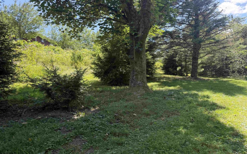 11 Plantation Drive, Morgantown, West Virginia 26508, 3 Bedrooms Bedrooms, 7 Rooms Rooms,2 BathroomsBathrooms,Single Family Detached,For Sale,Plantation,0,10166183 11 Plantation Drive, Morgantown, West Virginia 26508, 3 Bedrooms Bedrooms, 7 Rooms Rooms,2 BathroomsBathrooms,Single Family Detached,For Sale,Plantation,0,10166183