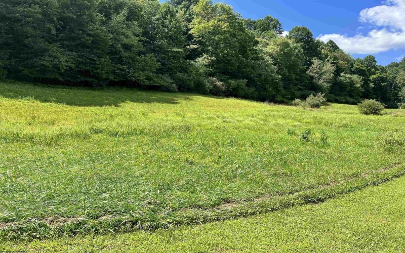 301 Lucy Lane, Buckhannon, West Virginia 26201, 2 Bedrooms Bedrooms, 9 Rooms Rooms,2 BathroomsBathrooms,Single Family Detached,For Sale,Lucy,0,10166199