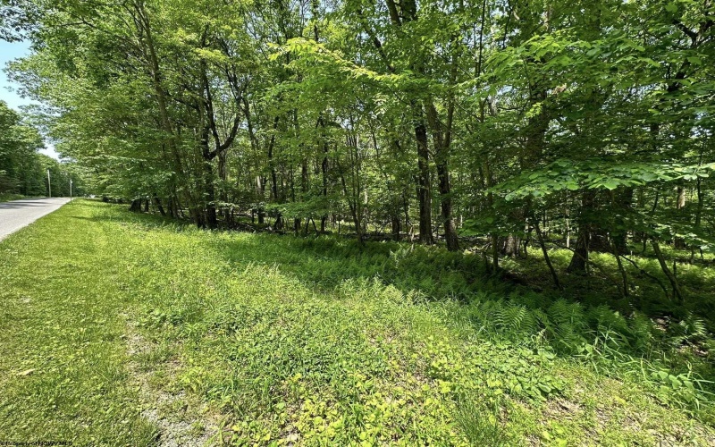 Lot 94 East Alpine Drive, Terra Alta, West Virginia 26764, 0 , 0 ,0,Lots/land,For Sale,East Alpine,0,10147737