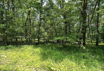 Lot 94 East Alpine Drive, Terra Alta, West Virginia 26764, 0 , 0 ,0,Lots/land,For Sale,East Alpine,0,10147737