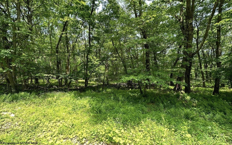 Lot 94 East Alpine Drive, Terra Alta, West Virginia 26764, 0 , 0 ,0,Lots/land,For Sale,East Alpine,0,10147737