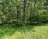 Lot 94 East Alpine Drive, Terra Alta, West Virginia 26764, 0 , 0 ,0,Lots/land,For Sale,East Alpine,0,10147737