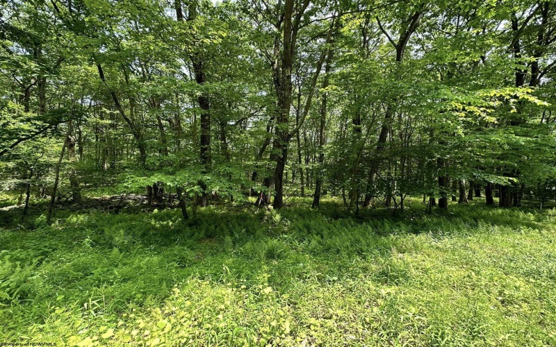 Lot 94 East Alpine Drive, Terra Alta, West Virginia 26764, 0 , 0 ,0,Lots/land,For Sale,East Alpine,0,10147737