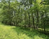 Lot 94 East Alpine Drive, Terra Alta, West Virginia 26764, 0 , 0 ,0,Lots/land,For Sale,East Alpine,0,10147737