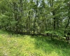 Lot 94 East Alpine Drive, Terra Alta, West Virginia 26764, 0 , 0 ,0,Lots/land,For Sale,East Alpine,0,10147737