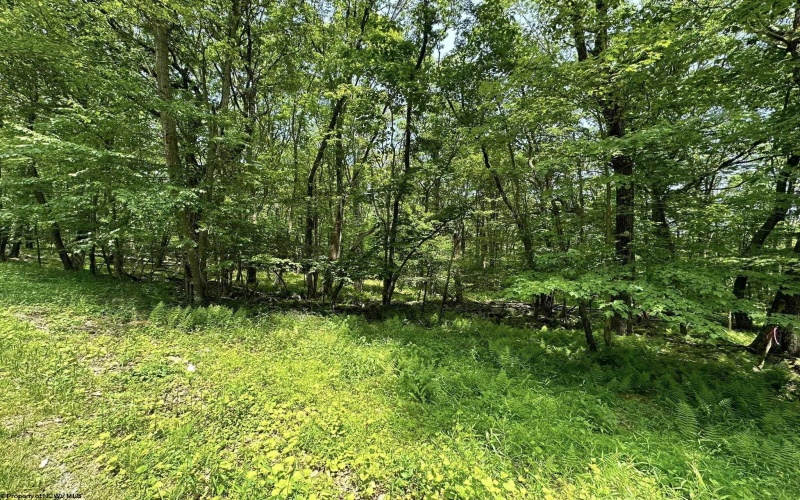 Lot 94 East Alpine Drive, Terra Alta, West Virginia 26764, 0 , 0 ,0,Lots/land,For Sale,East Alpine,0,10147737