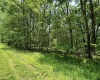 Lot 94 East Alpine Drive, Terra Alta, West Virginia 26764, 0 , 0 ,0,Lots/land,For Sale,East Alpine,0,10147737