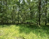 Lot 94 East Alpine Drive, Terra Alta, West Virginia 26764, 0 , 0 ,0,Lots/land,For Sale,East Alpine,0,10147737