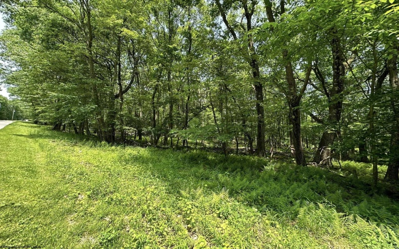 Lot 94 East Alpine Drive, Terra Alta, West Virginia 26764, 0 , 0 ,0,Lots/land,For Sale,East Alpine,0,10147737