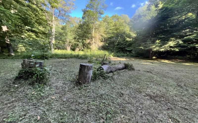 TBD Clover Run Road, Parsons, West Virginia 26287, 0 , 0 ,0,Lots/land,For Sale,Clover Run,0,10166214 TBD Clover Run Road, Parsons, West Virginia 26287, 0 , 0 ,0,Lots/land,For Sale,Clover Run,0,10166214