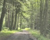 TBD Clover Run Road, Parsons, West Virginia 26287, 0 , 0 ,0,Lots/land,For Sale,Clover Run,0,10166214 TBD Clover Run Road, Parsons, West Virginia 26287, 0 , 0 ,0,Lots/land,For Sale,Clover Run,0,10166214