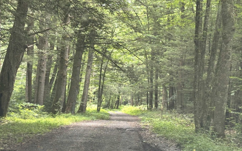 TBD Clover Run Road, Parsons, West Virginia 26287, 0 , 0 ,0,Lots/land,For Sale,Clover Run,0,10166214 TBD Clover Run Road, Parsons, West Virginia 26287, 0 , 0 ,0,Lots/land,For Sale,Clover Run,0,10166214