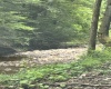 TBD Clover Run Road, Parsons, West Virginia 26287, 0 , 0 ,0,Lots/land,For Sale,Clover Run,0,10166214 TBD Clover Run Road, Parsons, West Virginia 26287, 0 , 0 ,0,Lots/land,For Sale,Clover Run,0,10166214