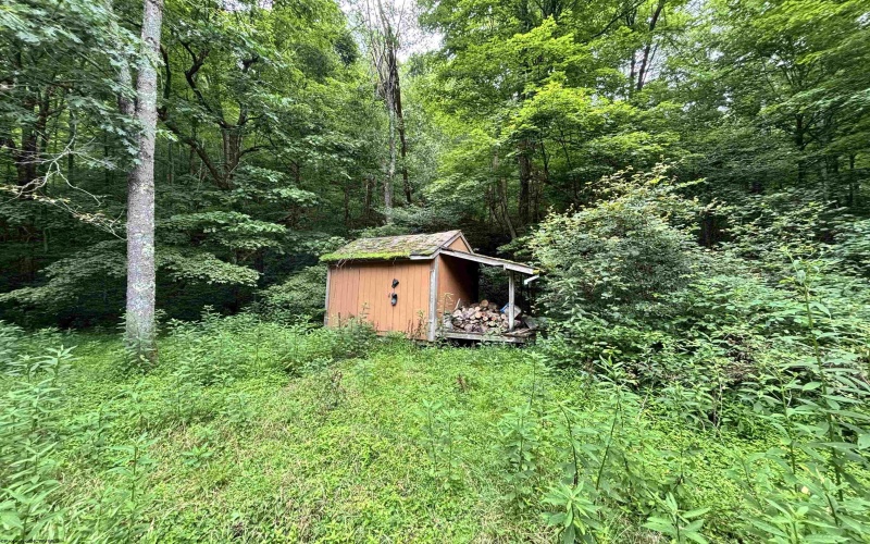 TBD Clover Run Road, Parsons, West Virginia 26287, 0 , 0 ,0,Lots/land,For Sale,Clover Run,0,10166214 TBD Clover Run Road, Parsons, West Virginia 26287, 0 , 0 ,0,Lots/land,For Sale,Clover Run,0,10166214