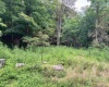 TBD Clover Run Road, Parsons, West Virginia 26287, 0 , 0 ,0,Lots/land,For Sale,Clover Run,0,10166214 TBD Clover Run Road, Parsons, West Virginia 26287, 0 , 0 ,0,Lots/land,For Sale,Clover Run,0,10166214