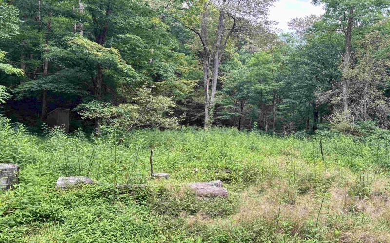 TBD Clover Run Road, Parsons, West Virginia 26287, 0 , 0 ,0,Lots/land,For Sale,Clover Run,0,10166214 TBD Clover Run Road, Parsons, West Virginia 26287, 0 , 0 ,0,Lots/land,For Sale,Clover Run,0,10166214