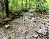 TBD Clover Run Road, Parsons, West Virginia 26287, 0 , 0 ,0,Lots/land,For Sale,Clover Run,0,10166214 TBD Clover Run Road, Parsons, West Virginia 26287, 0 , 0 ,0,Lots/land,For Sale,Clover Run,0,10166214