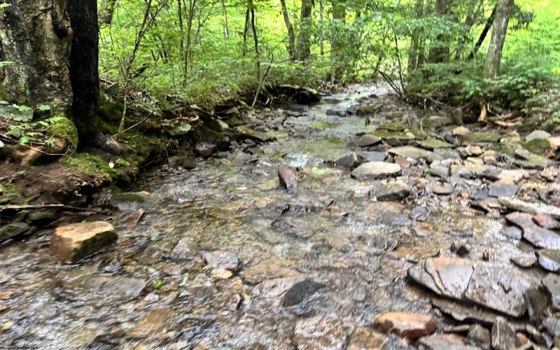 TBD Clover Run Road, Parsons, West Virginia 26287, 0 , 0 ,0,Lots/land,For Sale,Clover Run,0,10166214 TBD Clover Run Road, Parsons, West Virginia 26287, 0 , 0 ,0,Lots/land,For Sale,Clover Run,0,10166214