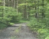 TBD Clover Run Road, Parsons, West Virginia 26287, 0 , 0 ,0,Lots/land,For Sale,Clover Run,0,10166214 TBD Clover Run Road, Parsons, West Virginia 26287, 0 , 0 ,0,Lots/land,For Sale,Clover Run,0,10166214